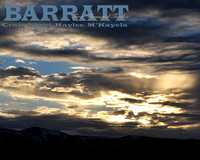 Barratt 2012'